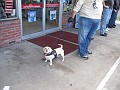 IMG_1451