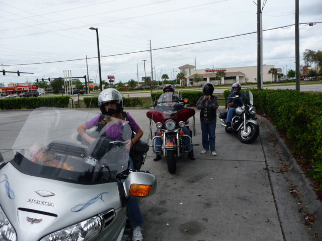 P1010632.jpg
