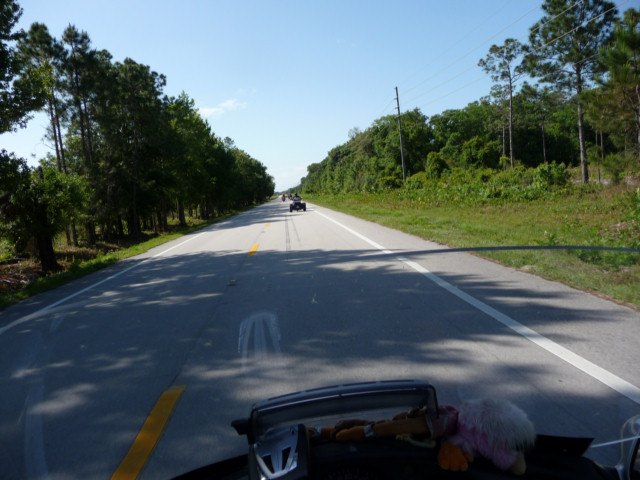 P1000713.jpg