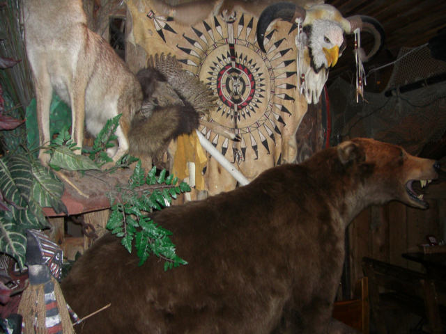 CIMG0444.jpg