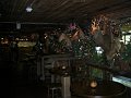CIMG0441