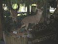 CIMG0442