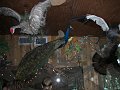 CIMG0455