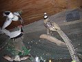 CIMG0457