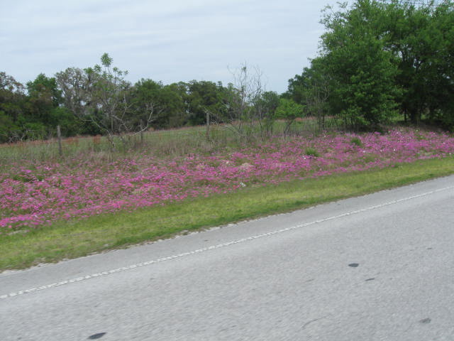 IMG_4495.JPG