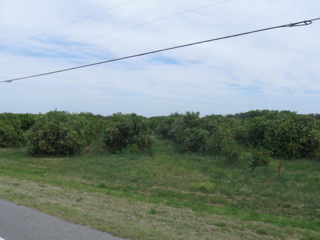 IMG_4499.JPG