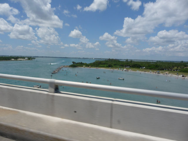P1010039.jpg