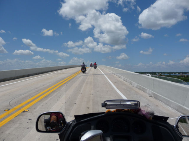 P1010045.jpg