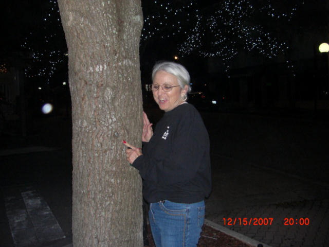 CIMG0136.jpg
