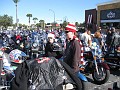 IMG_1876