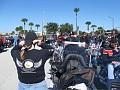 IMG_1879