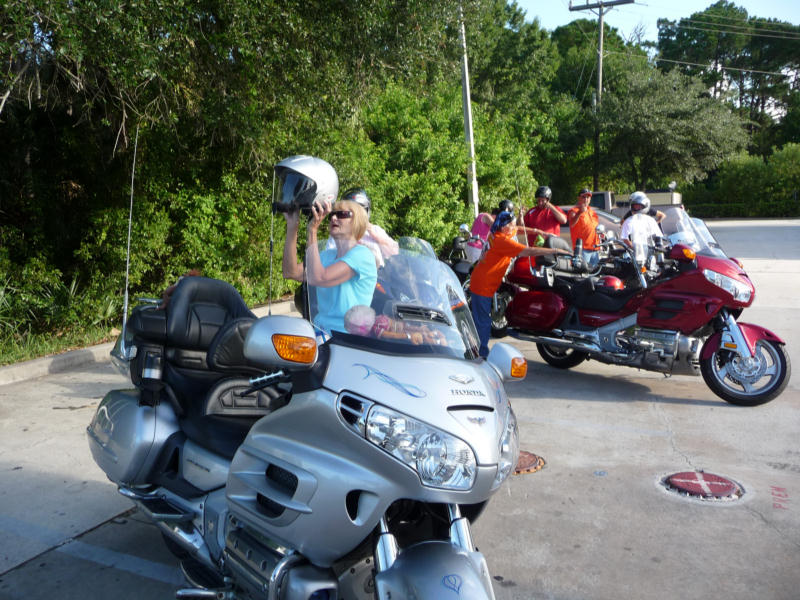 P1010868.jpg