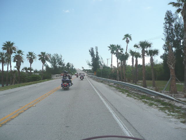 P1000346.jpg