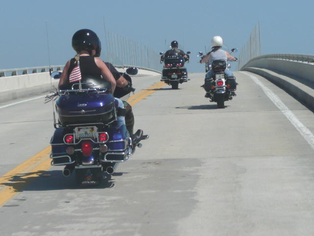 P1000355.jpg
