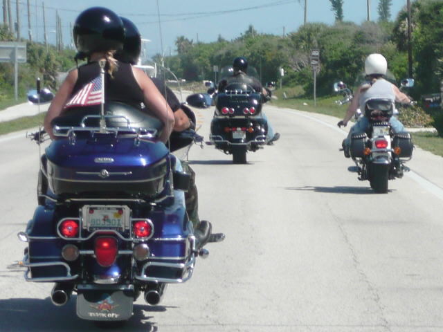 P1000358.jpg