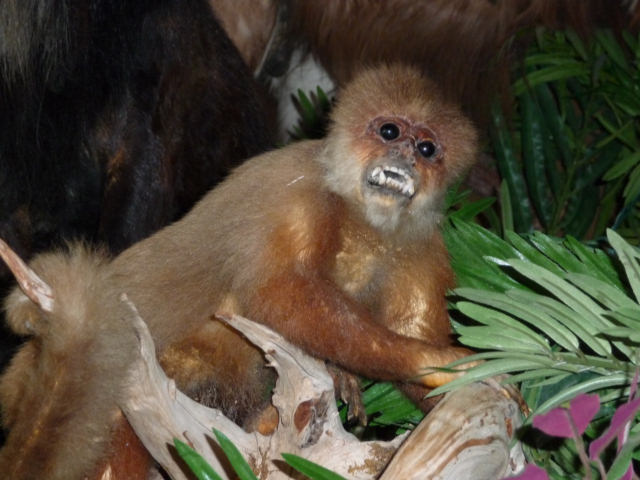 P1000821.jpg