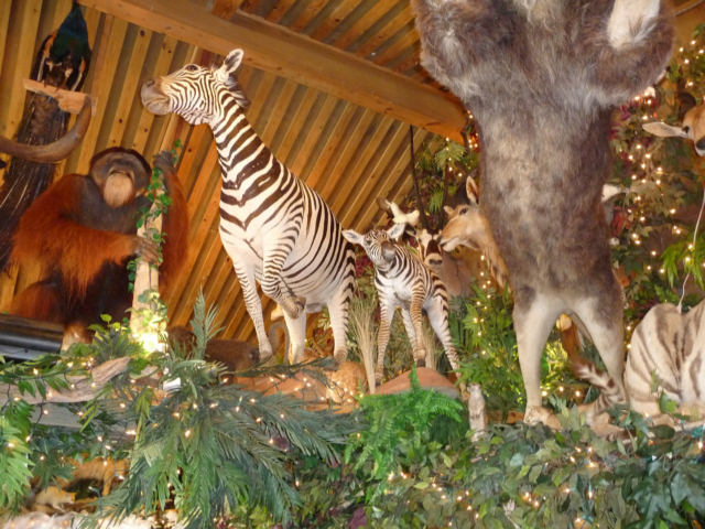 P1000825.jpg