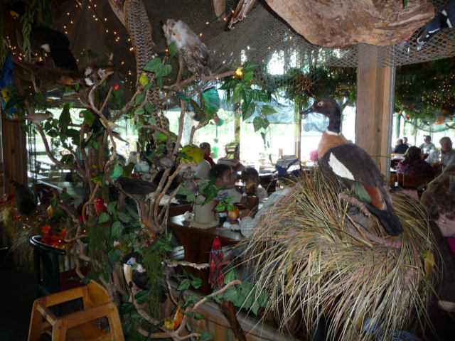 P1000826.jpg