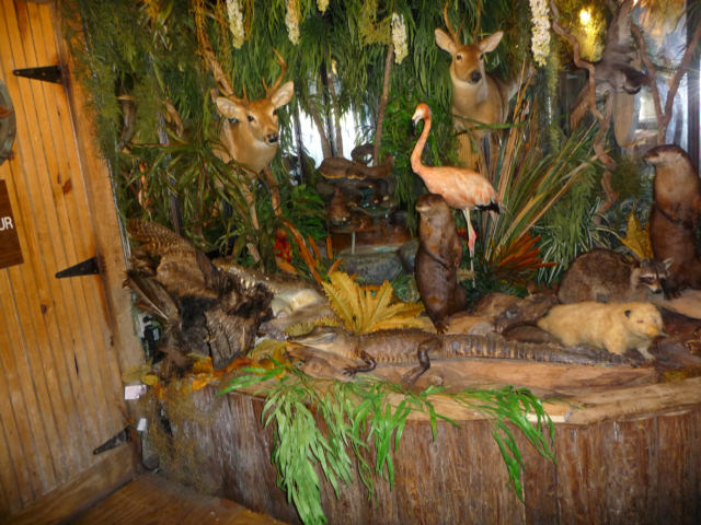 P1000830.jpg
