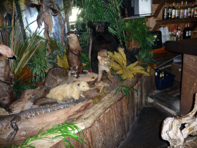 P1000831.jpg