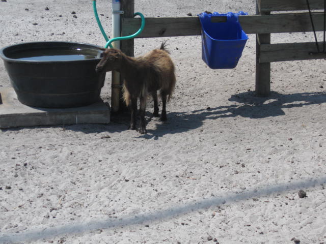 IMG_4770.JPG