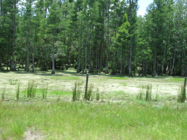 IMG_4788.JPG