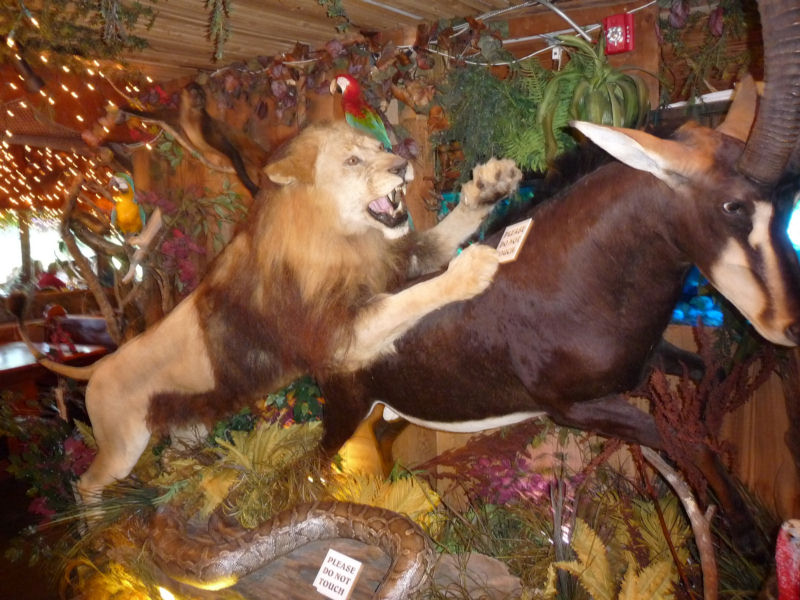 P1010739.jpg