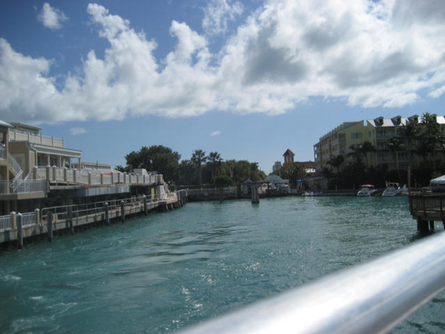 IMG_1179.jpg