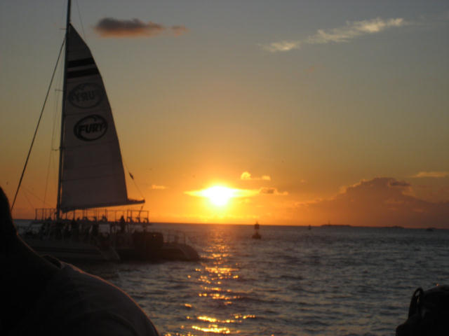 IMG_1198.jpg
