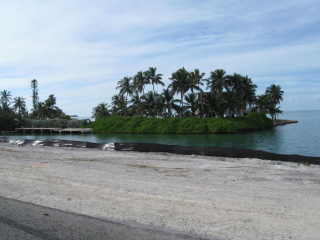 IMG_3950.JPG