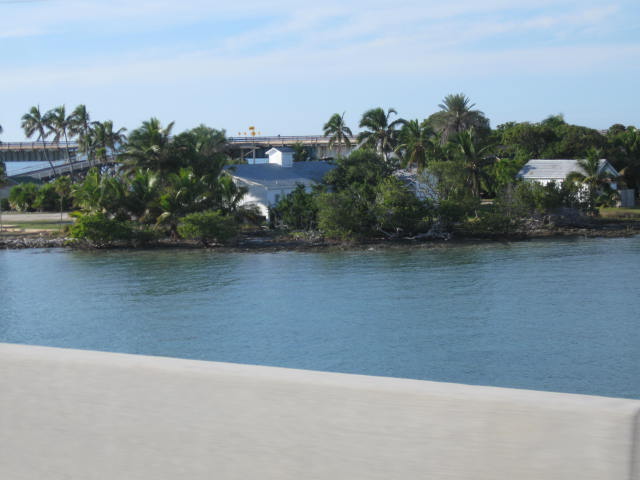 IMG_3964.JPG