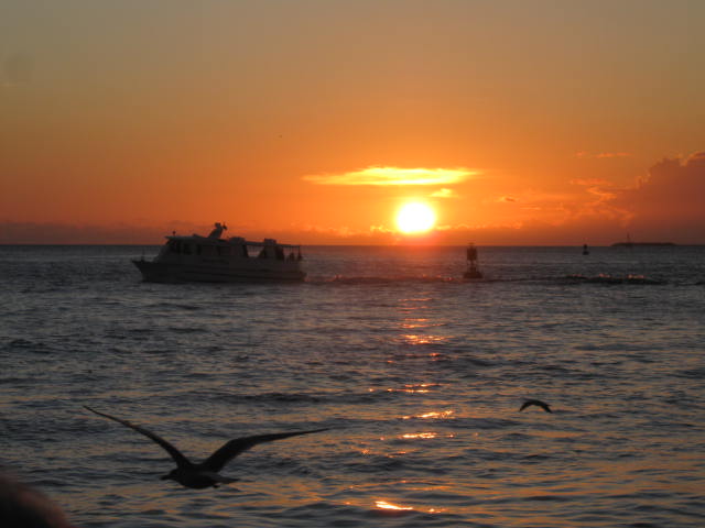 IMG_4091.JPG