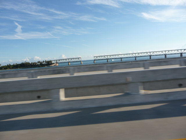 P1010315.jpg