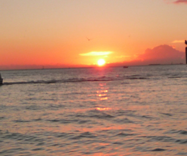P1010339.jpg