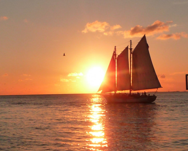 P1010351.jpg