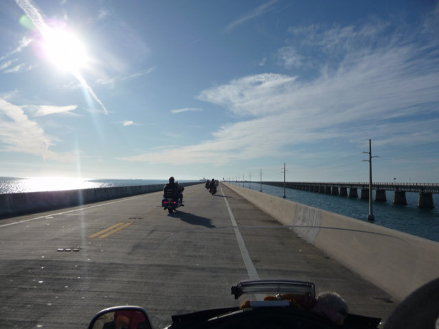 P1010376.jpg