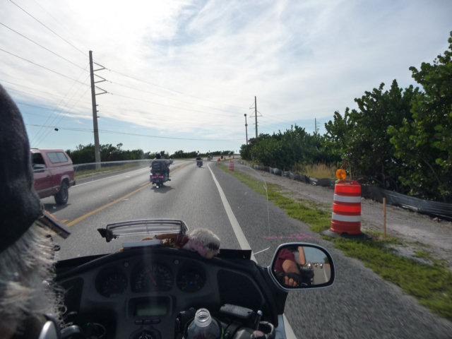 P1010377.jpg