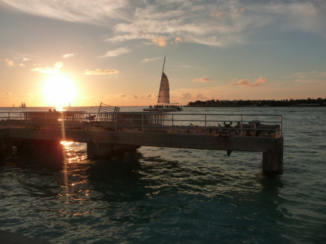 P1010397.jpg