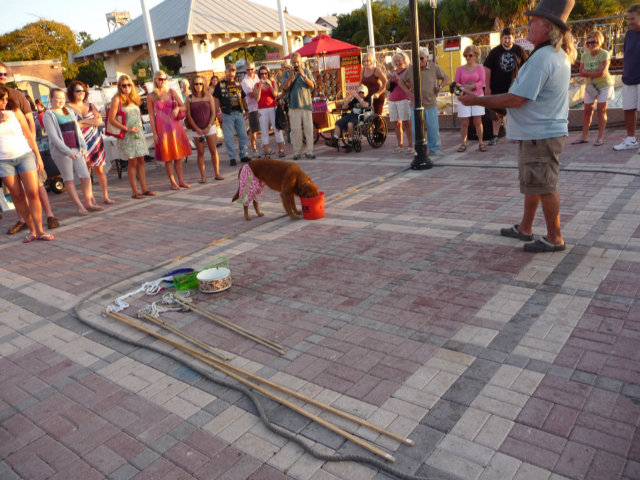 P1010430.jpg